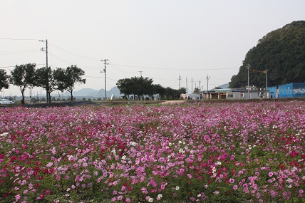 c0174077_11254.jpg