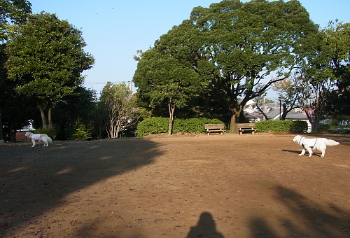 b0136381_12534266.jpg
