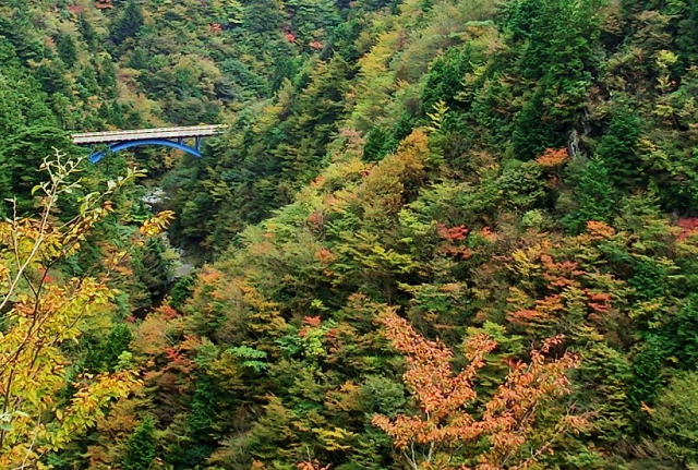 d0179983_0233485.jpg