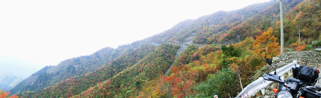 d0179983_0245315.jpg