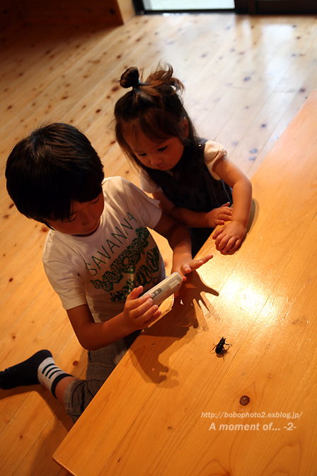 d0259885_0283678.jpg