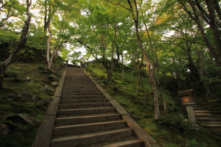 常寂光寺_e0051888_04306.jpg