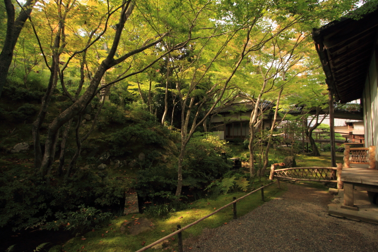 常寂光寺_e0051888_043183.jpg