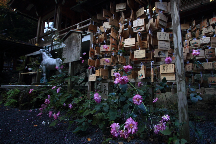 貴船神社_e0051888_04481.jpg