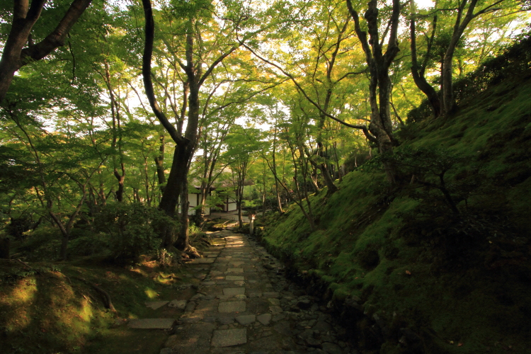 常寂光寺_e0051888_0465014.jpg