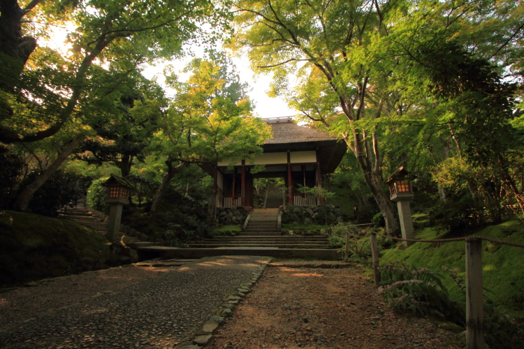 常寂光寺_e0051888_0473539.jpg