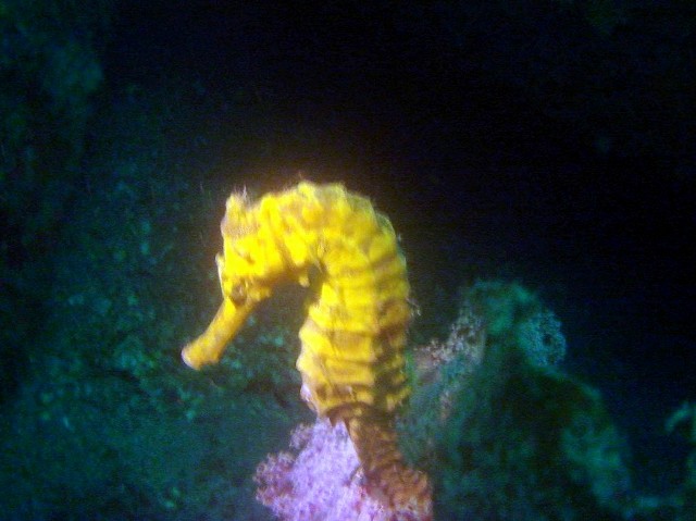 b0286989_6393991.jpg
