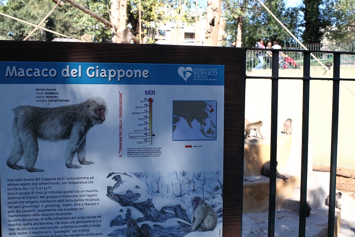 e0249590_2011361.jpg