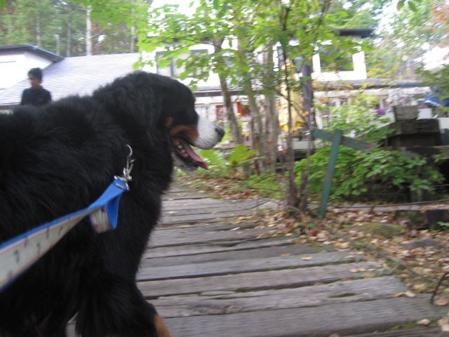 c0123692_0143643.jpg