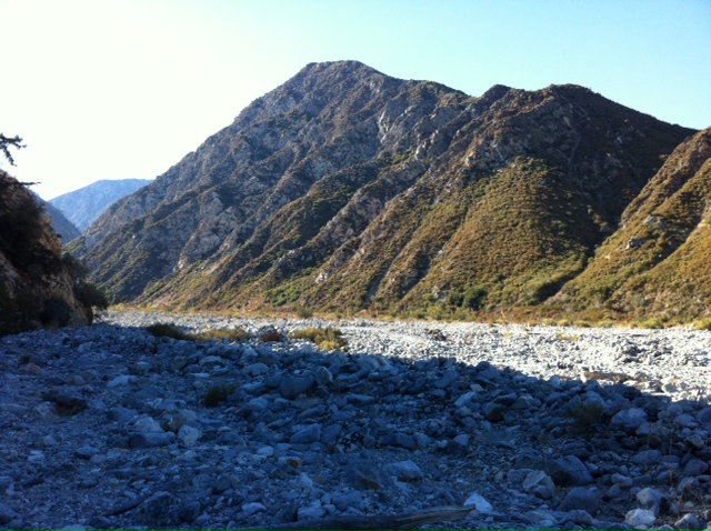 e0161692_42428.jpg