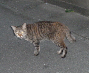 f0166694_19103433.jpg
