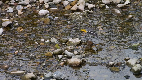 a0293295_6481453.jpg
