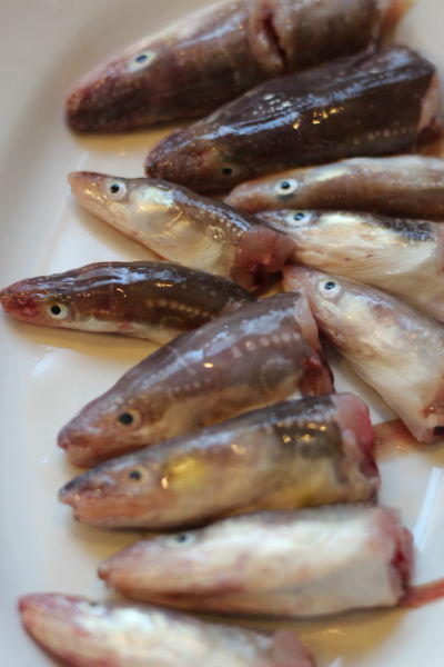 穴子の骨と頭で ただいまお料理中 穴子の骨と頭で ただいまお料理中