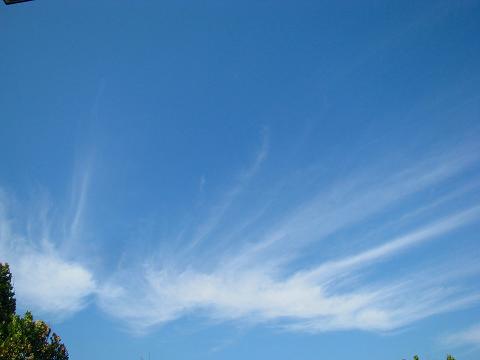 a0293798_2153454.jpg