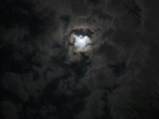 b0232400_322859.jpg
