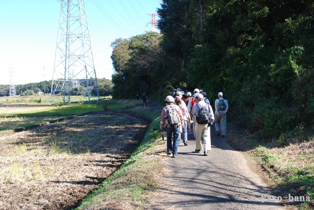 今日も散策に・・・_e0025300_18484690.jpg