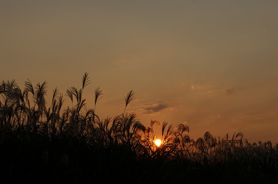 夕暮れの平城宮跡_a0122205_11203540.jpg