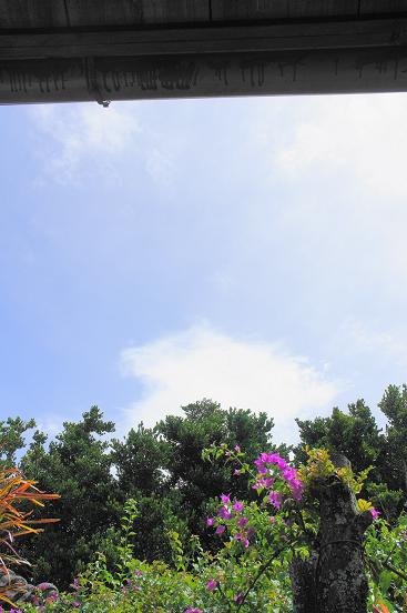 b0139906_14591231.jpg