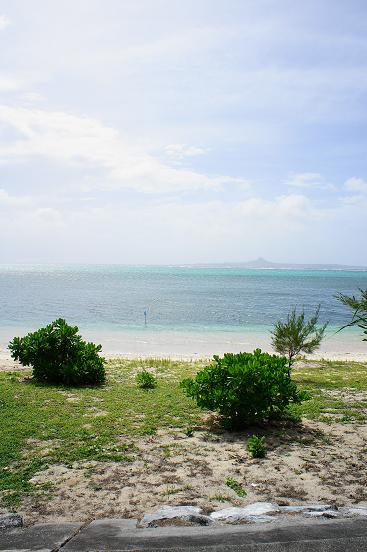 b0139906_1505315.jpg