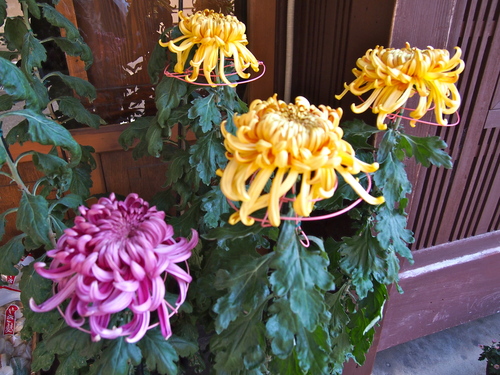 a0230008_23104561.jpg