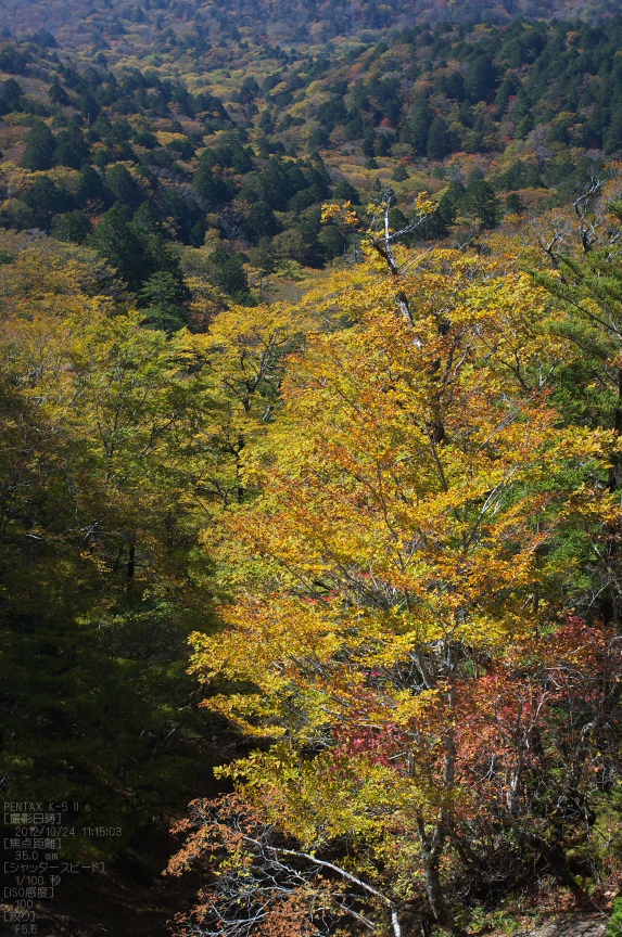 f0221510_23103117.jpg