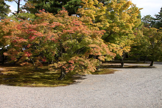 京都御所 秋の一般公開_e0048413_22171189.jpg