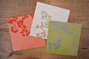 新入荷のお知らせ(botaniko pressさん)_d0263815_1721876.jpg