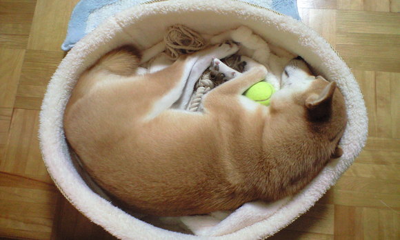 e0227023_2219630.jpg
