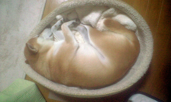 e0227023_22213844.jpg