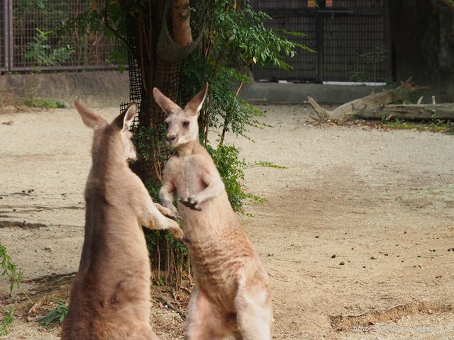 f0201226_20105465.jpg