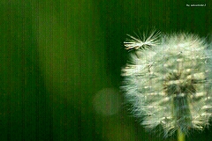 b0253627_21212970.jpg