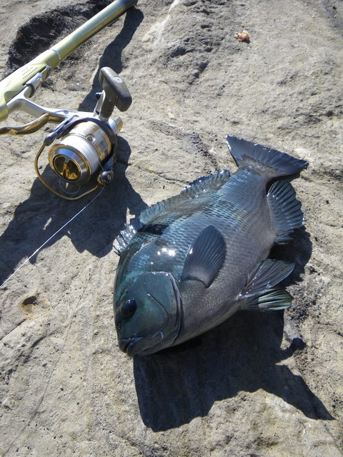 c0202727_22374334.jpg