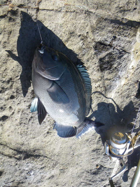 c0202727_22392271.jpg