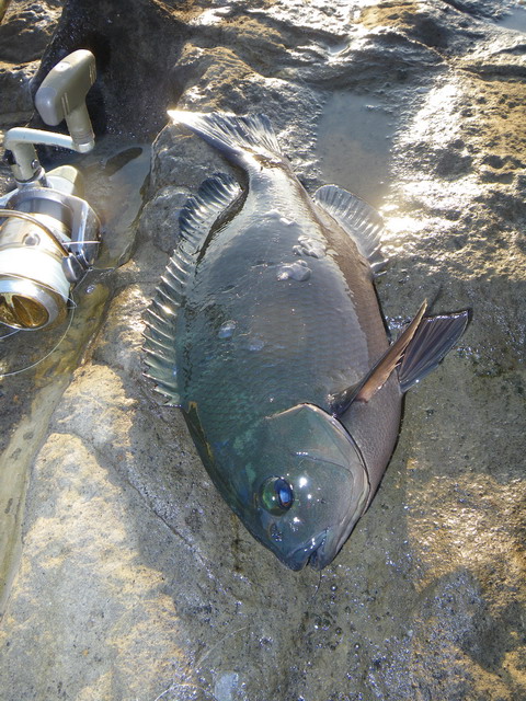 c0202727_22471117.jpg
