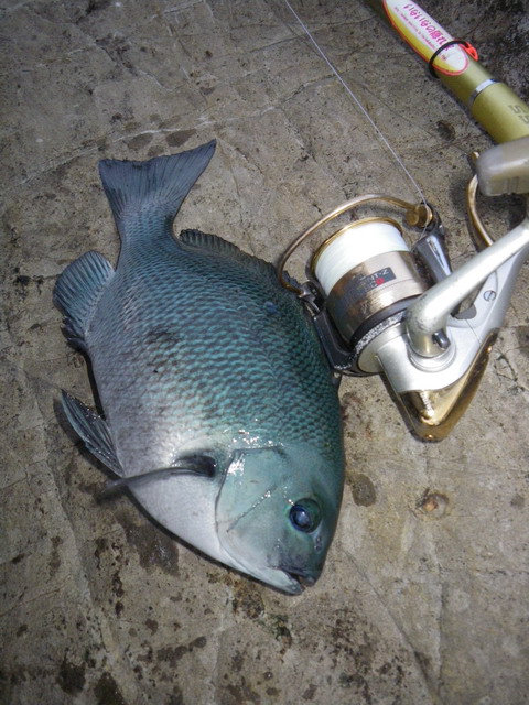 c0202727_22473422.jpg