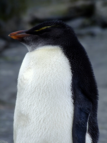 「北海道の旅2012 旭山動物園」_a0000029_11221525.jpg