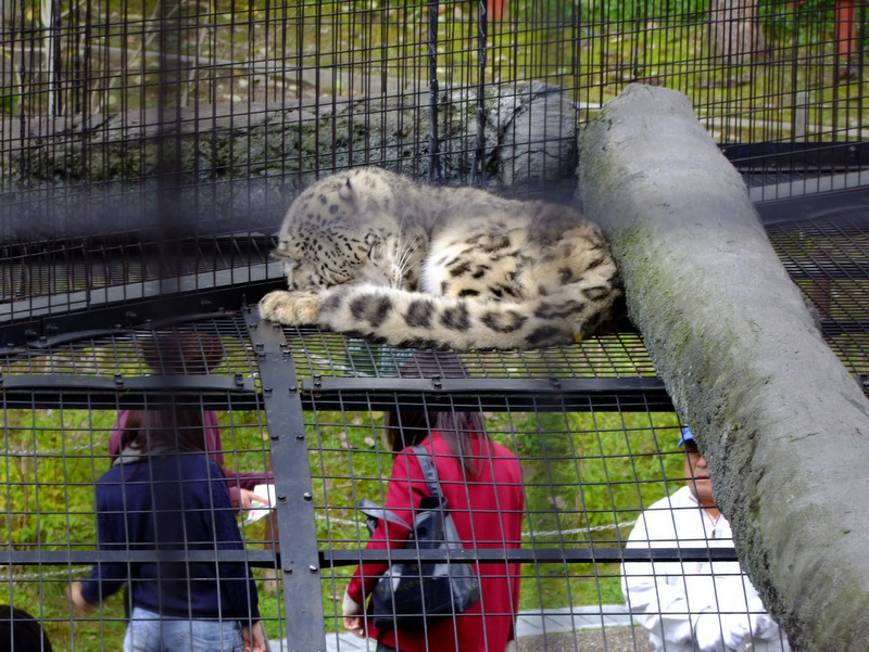 「北海道の旅2012 旭山動物園」_a0000029_12491098.jpg