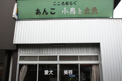 c0127029_12212622.jpg