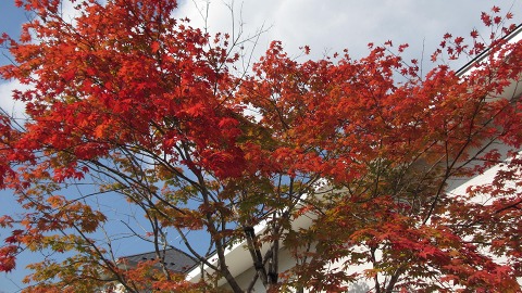 e0202031_22402281.jpg