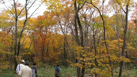 e0202031_22511992.jpg