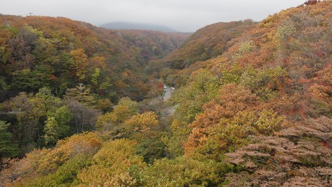e0202031_22515398.jpg