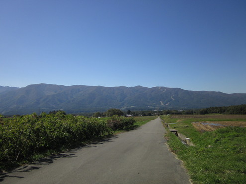 a0291132_12383717.jpg
