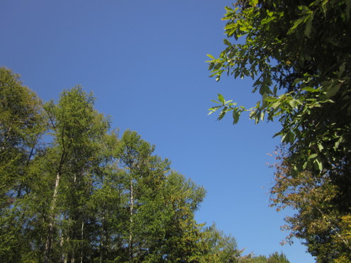 a0291132_130151.jpg