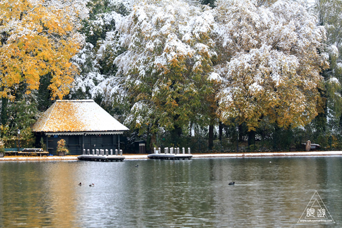 279 Kleinhesseloher See ~ミュンヘンの都市公園にて~_c0211532_055498.jpg