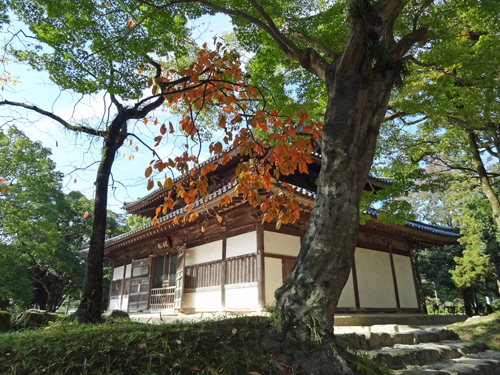 秋の観世音寺・太宰府政庁跡地散策 2012年11月2日_a0129233_1704129.jpg