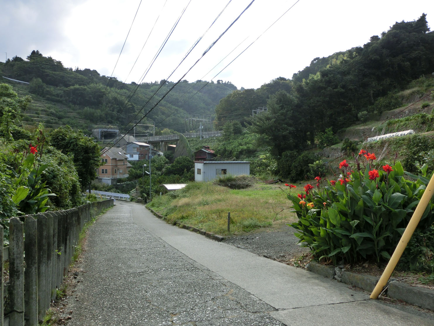 やはり海はつながっている その2_f0147037_17591835.jpg