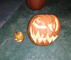c0196240_16192336.gif