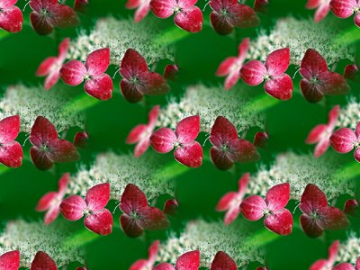 Gimp 一枚の画像のシームレス化と並べる 勿 忘 草 Gimp 一枚の画像のシームレス化と並べる 勿 忘 草