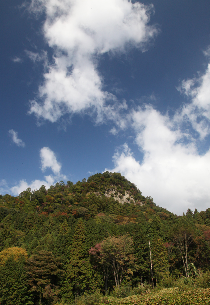 宇陀市　向渕（むこうじ）　水晶山　龍王渕　紅葉_c0108146_23472530.jpg