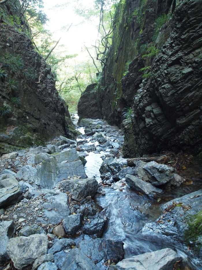 d0247848_2334793.jpg